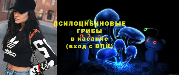 apvp Вязники