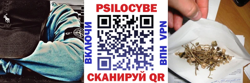как найти наркотики  Волжск  Галлюциногенные грибы Psilocybe 